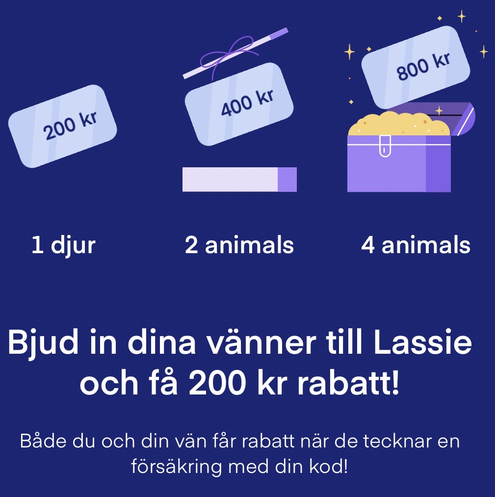 Lassie.co Djurförsäkring | Rabatt