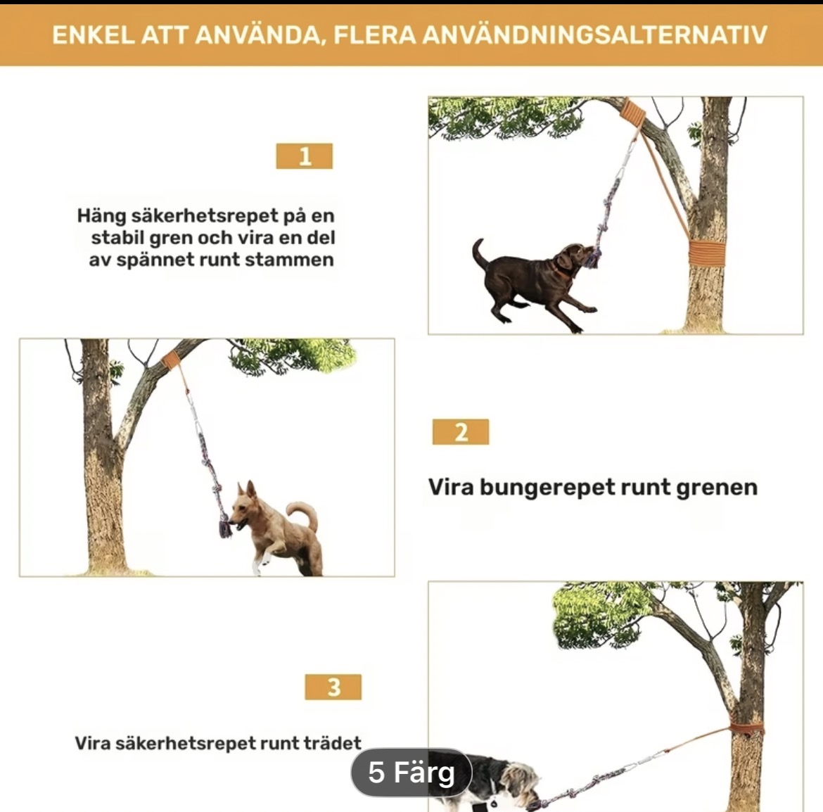 ˢᴾᴿᴵᴺᴳ ᴾᴼᴸᴱ